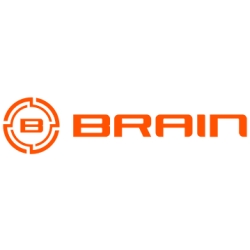 Brain
